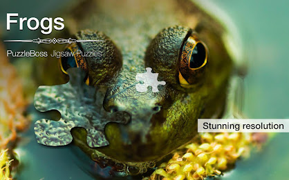 Frog Jigsaw Puzzles Demo poster 5