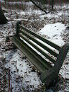 Elaine Ordower Memorial Bench