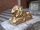 Золотой Лев