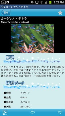 熱帯魚＆水草図鑑322選のおすすめ画像3