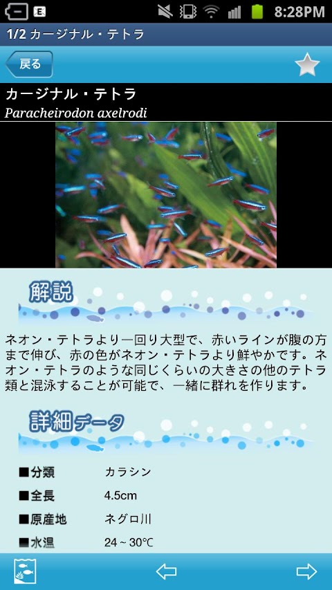熱帯魚＆水草図鑑322選のおすすめ画像3