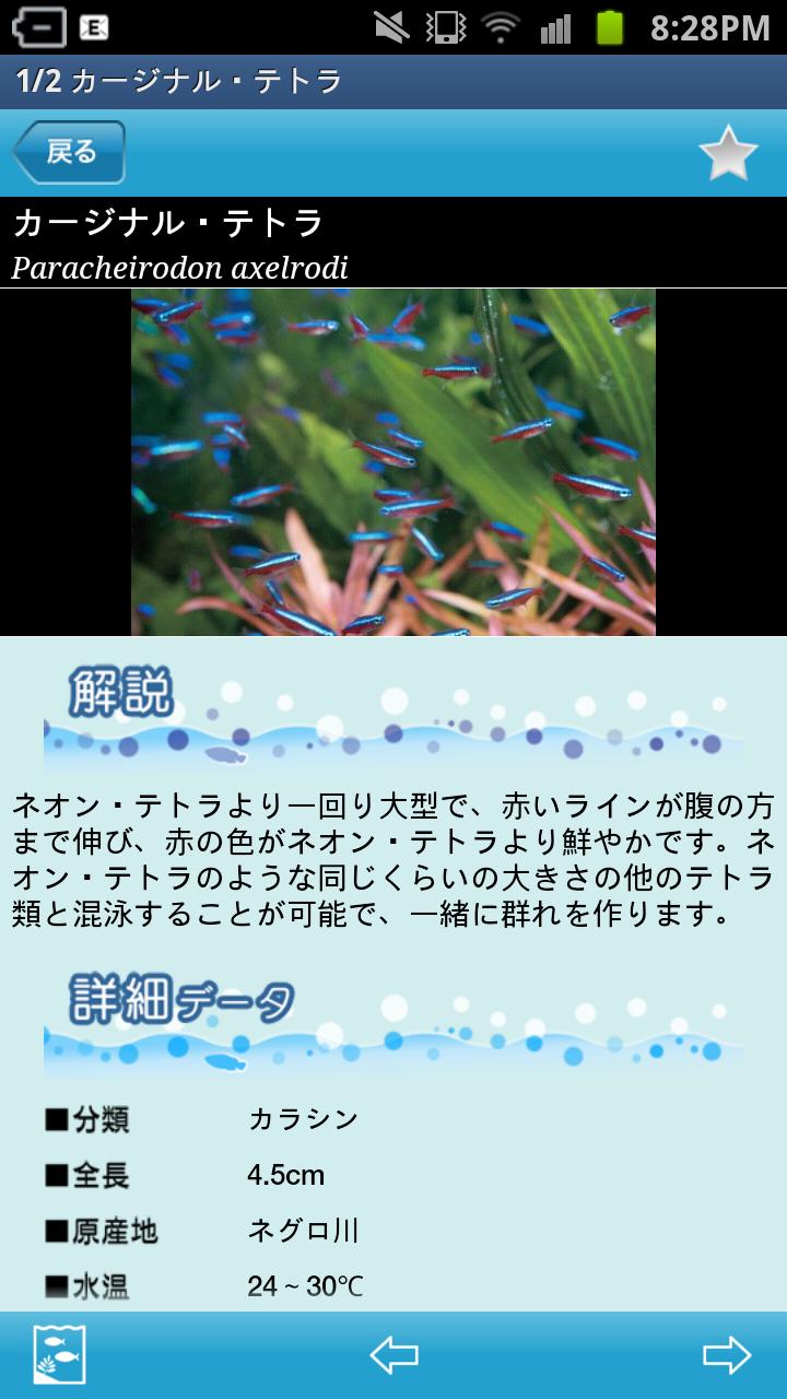 熱帯魚＆水草図鑑322選 Screen 3