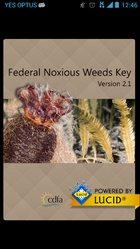 Federal Noxious Weeds Key