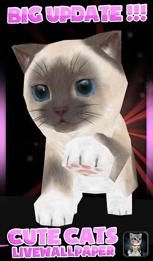 【免費個人化App】Fluffy Cat Pet 3D HD lwp-APP點子