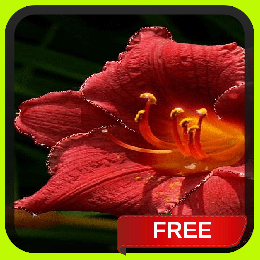 Beautiful Red Flower LWP LOGO-APP點子