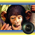Animal Morph Camera logo