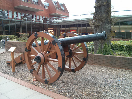 The Cannon Park Cannon