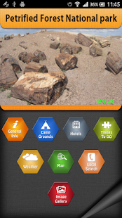 Petrified Forest NationalPark - náhled