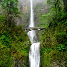 Multnomah Falls by Dub Scroggin - Landscapes Travel