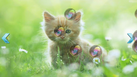 Baby Soap bubbles poster 13