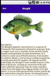 Free North American Fish Guide APK for Android