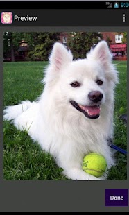 Sweet Pet Puzzle Screenshots 2