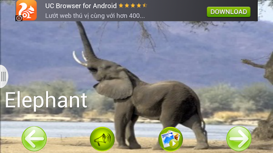 animal sounds Screenshots 4