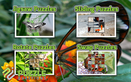 【免費解謎App】Butterfly Puzzle Games-APP點子