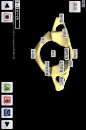 和鍼灸院式骨学R 2D poster 5
