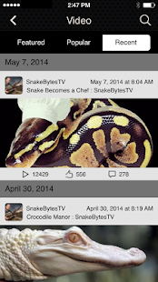SnakeBytesTV Screenshots 4