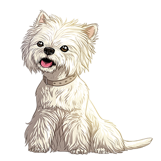 WS: White Terrier