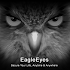 EagleEyes(Lite)1.8.1