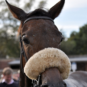 Party Trick by JMJ Photographyuk - Uncategorized All Uncategorized