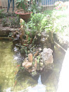 Koi Pond in Youth's Cultural Center