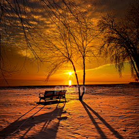 Left Behind by Phil Koch - Landscapes Prairies, Meadows & Fields