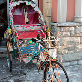 Little India ride by Elsie Nisonen - Transportation Other