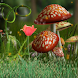 Magic Mushroom Land Live Wall