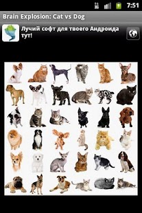 How to get Cat vs Dog (BrEx) free lastet apk for pc
