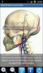 Visual Anatomy - screenshot thumbnail