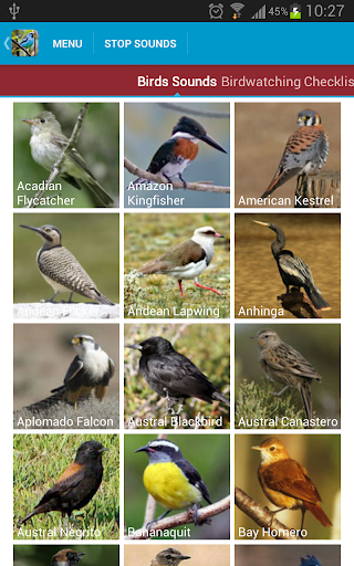 【免費教育App】South American Birds Free-APP點子