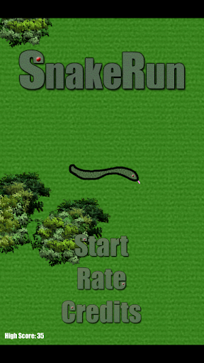 Snake Run