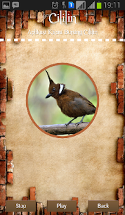 How to mod Crested Jay lastet apk for bluestacks