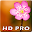 Macro Wallpaper HD Pro Download on Windows