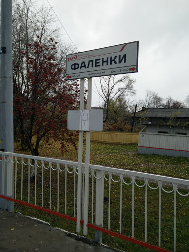 Railway Station Falenki