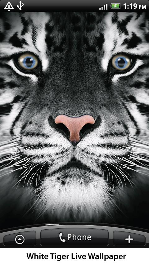 White Tiger Live Wallpaper Screen 3