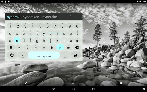 【免費攝影App】Nynorsk Keyboard plugin-APP點子