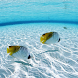 Touch Clear Seabed Caribbean