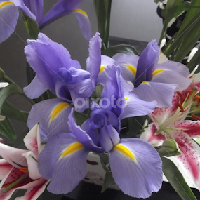by Heather Parrish - Flowers Flower Arangements