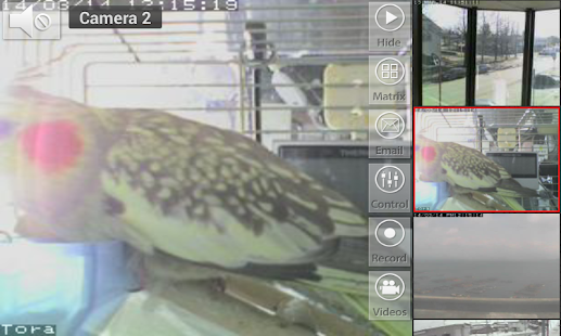 How to get IP Viewer for Maginon Cameras lastet apk for bluestacks