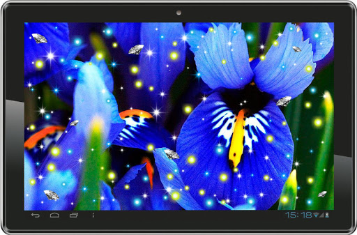 免費下載個人化APP|Iris Cute HD live wallpaper app開箱文|APP開箱王