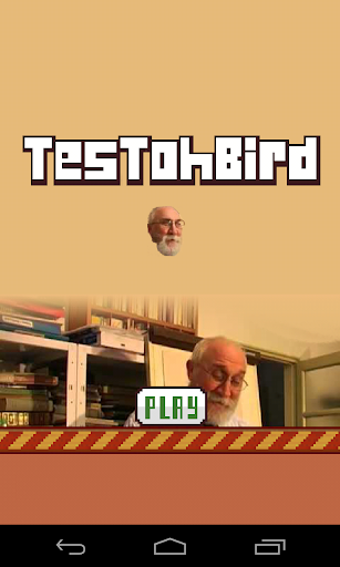 TestohBird