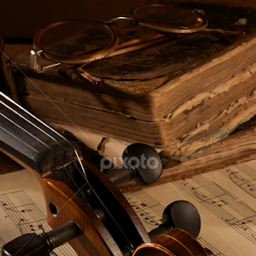 Violino by Simão Matos - Artistic Objects Musical Instruments