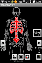 Skeletology (Nagomi) 2D poster 20