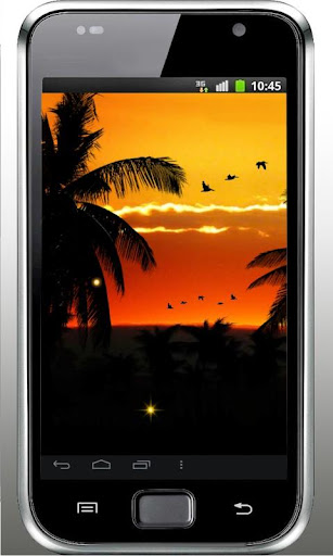 Sunset Africa live wallpaper