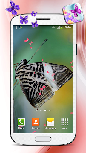 【免費個人化App】蝴蝶動態壁紙-APP點子