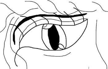 Stare