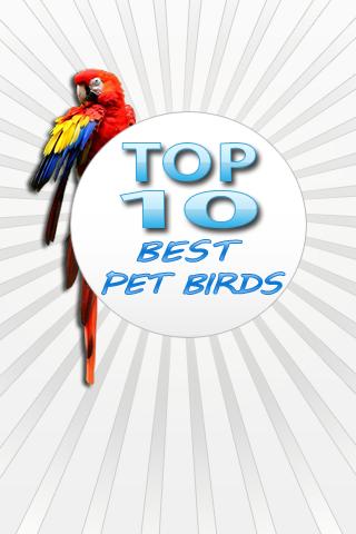 Top10 BEST Pet Birds