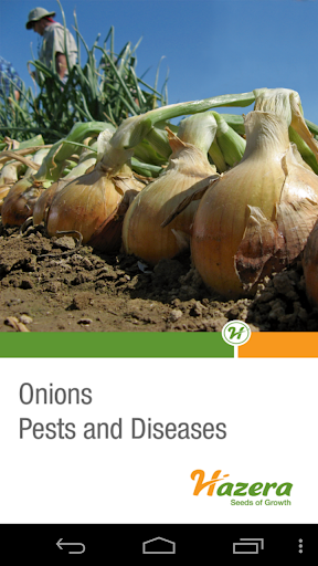 Onion diseases