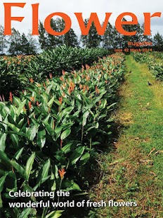 Flower mag Screenshots 14