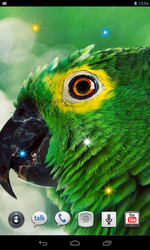 Parrot Gallery live wallpaper